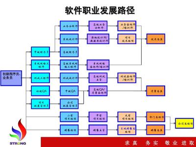 網絡工程在軟件行業的職業規劃 路徑、技能與發展前景
